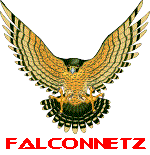 Falconnetz Blog